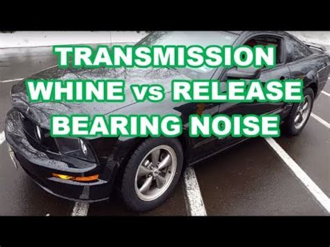 mustang 2040 transmission noise